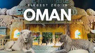 ഒമാനിലെ ഏറ്റവും വലിയ zoo 🐾🇴🇲 | SAFARI WORLD IBRA | BIGGEST ZOO IN OMAN | Muscat Vlog | HIMA SATHEESH