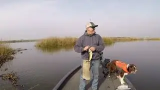 Delta Bass Fishing in January and February