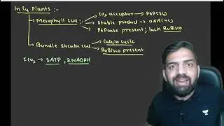 Photosynthesis lecture -3 by anmol sharma ncert line by line explain NCERT NICHOD BY ANMOL SHARMA 
