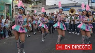 CACHIPORRAS COLEGIO LEÓN SIGÜENZA #2019