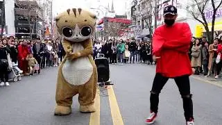cococat&JHKTV]명물고양이댄스와 디오비뱅뱅뱅 (SY)special cat k pop dance &dob bang bang bang