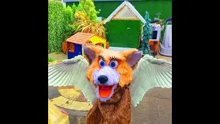 Nikolai, the Fab Flying Fox, Buggy McBaddy and the Battle for Christchurch