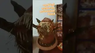 #नवरात्री में दुर्गा चालीसा पाठ करने से क्या फल मिलता हैं🔱#दुर्गाचालीसा#दुर्गासप्तशती