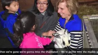 Grade 6 Shabbaton - Cups