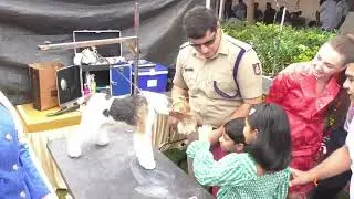 Paws, Pride, and Prestige Shine at Bengaluru&rsquo;s All-India Championship Dog Show 2025