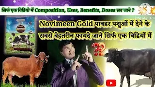 Novimeen gold powder uses in hindi l Novimeen gold powder l@N.kmedicins1 l Novitech ka minral powder
