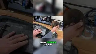 Recovering Furniture: Easy Staple Removal Guide #shorts
