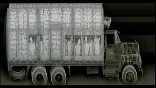 Top 10 Strange & Creepy X Rays