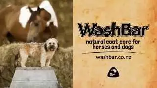 Washbar Horse and Hound Shampoo Bar