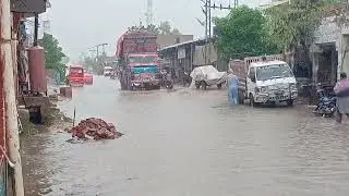 pangrio Tez barsaat
