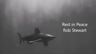 RIP Rob Stewart