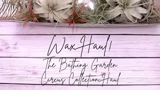 WAX HAUL! | The Bathing Garden 2024 Circus Collection!