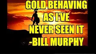 GOLD BEHAVING AS I'VE NEVER SEEN IT | Bill Murphy