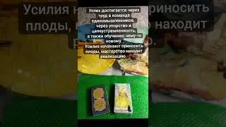 Совет от карт на 6.10.2025.#таро #таролог #tarot #tarotreading