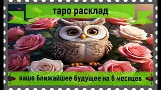 Таро расклад -  ваше ближайшее будущее на 6 месяцев.