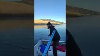 Finally landing a bass on a top water. #megabass  #daiwa #tatula #bass