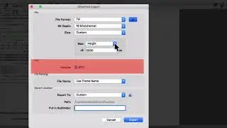 SilverFast 9 &ndash; Export Dialog for Batch Mode (English)