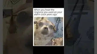 funny memes - rr memes -part 46