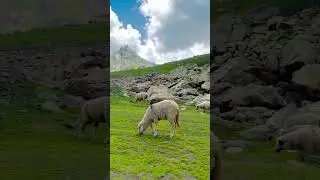 JANNAT e Kashmir❤️ #mountains#jannatekashmir #travel #nature #bea&hellip;.