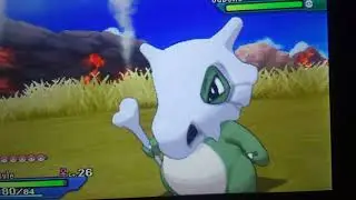 Pok&eacute;mon UltraSun: Forget Salandit! Shiny Cubone hands down!