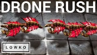 StarCraft 2: DRONE RUSH vs DRONE RUSH!