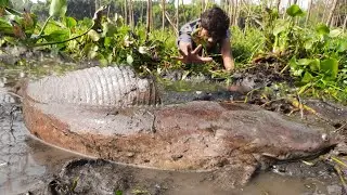 Hand Fishing Videos. The Village Little Boy Catching Fish By Hand From The Village Bill #fishing