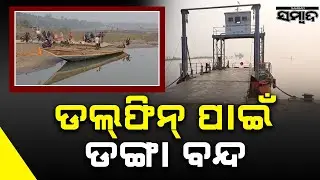 Chilika Dolphin Census: Boats Banned for 3 Days to Protect Rare Dolphins | Sambad 