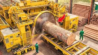 Proceso de producción: del tronco a tu mesa, así se fabrica el plywood