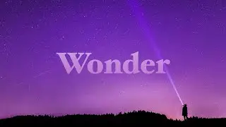 Wonder - Week 3