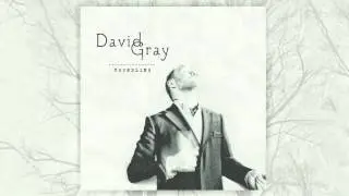 David Gray - A New Day At Midnight (Official Audio)