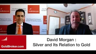 David Morgan: Gold and Silver Ratio, Debt Bomb & Monetary Reset