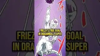 What Frieza&rsquo;s TRUE GOAL in Dragonball Super?! #dragonballsuper