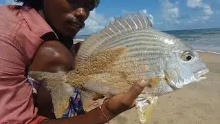 AMAZING  | No Rod No Reels Fishing bait in the kadal | BM Rural Fishing |