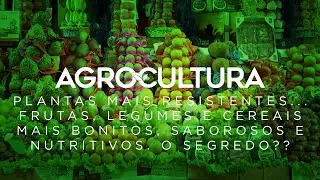 Conheça as técnicas de melhoramento genético para alimentos | AgroCultura