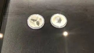 Perth mint rat and other lunar silver coin