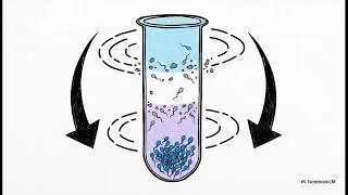The Gold Standard: How We Prepare Sperm for IUI Success