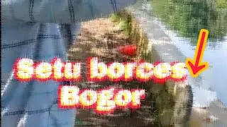 Setu borces | spot mancing liar,daerah bogor.