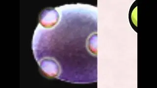 My siging monster how to breed gazt