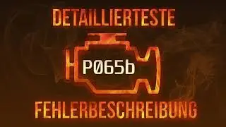 P065b  detaillierteste Fehlerbeschreibung