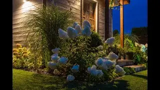 Moon Gardening: 10 things that will make your yard glow at night