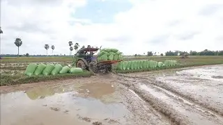 amazing tractor Transport rice in cambodia