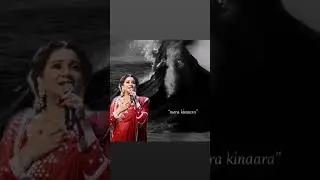 This 29. second  of shreya Ghoshal 🥹💗💗✨ #music #song #shreyaghoshal #reels