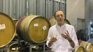 A guide to Gellewza and Girgentina: Malta's native grapes with Georges Meekers