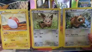 Ordering 20+ Cards from ONE SELLER from TCGPlayer.com