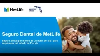 MetLife Dental Insurance 2026 - Spanish