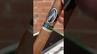 Smoking the Davidoff Escurio 10th Anniversary🔥💨 #cigar #smoke