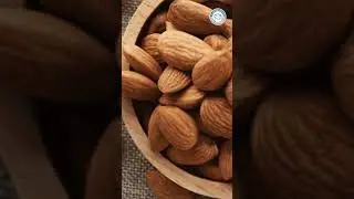 Avoid These Food For Your Dogs 🚫 #dogshorts #petlover #doglovers #indiannativedogs #nativedogs