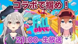 【コラボ】ねき選手とFallGuysで『ドン勝』狙うぞっ！！