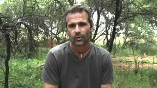 How Did I Become The Lion Whisperer?  | The Lion Whisperer