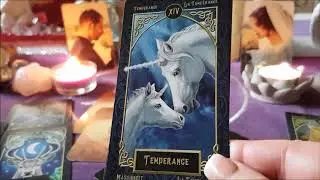 Dualseelen Reading Februar 2018 - Amerillis - spirituelle Lebensberatung
